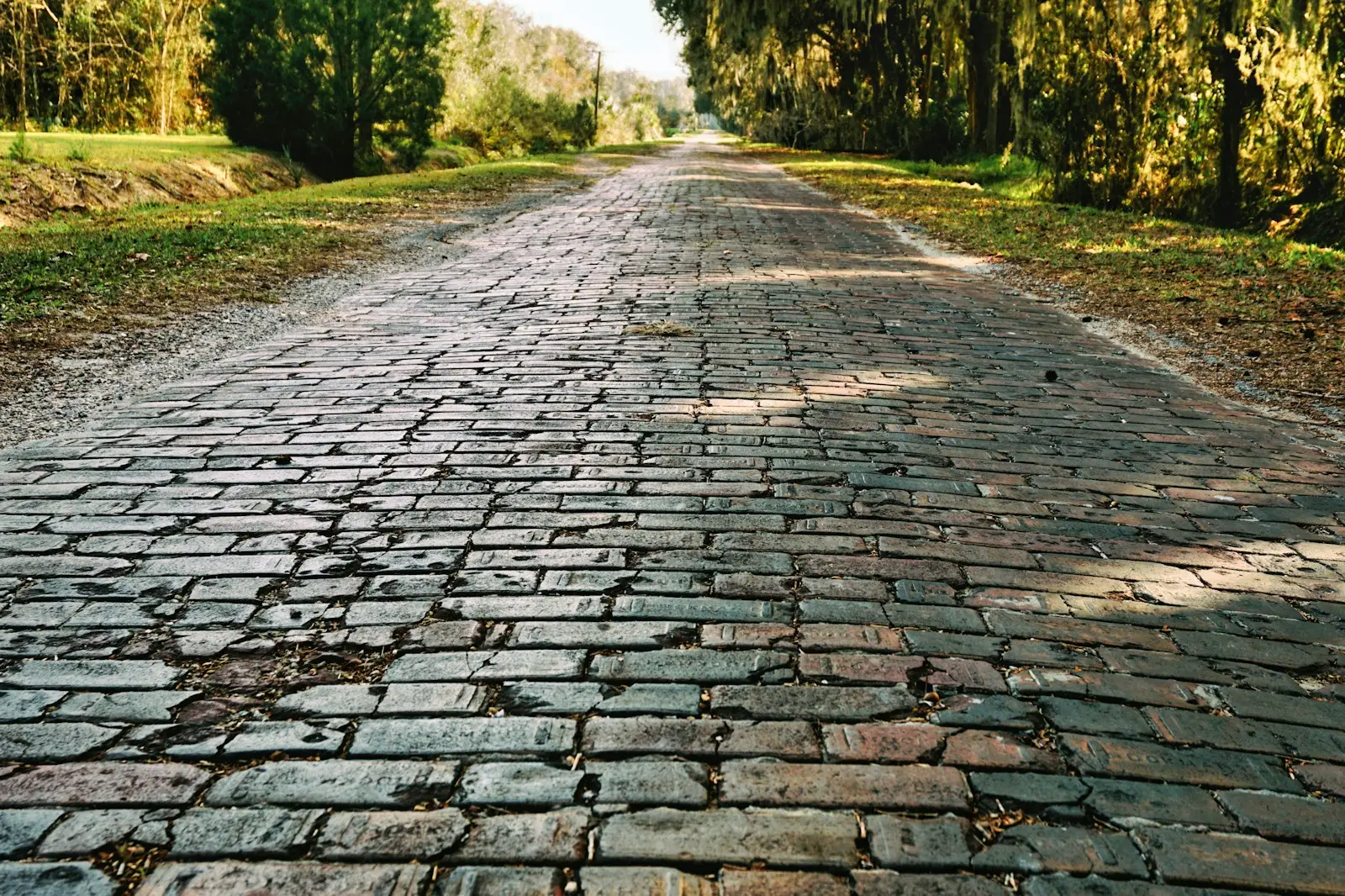 Cobblestone driveway lined with mature trees