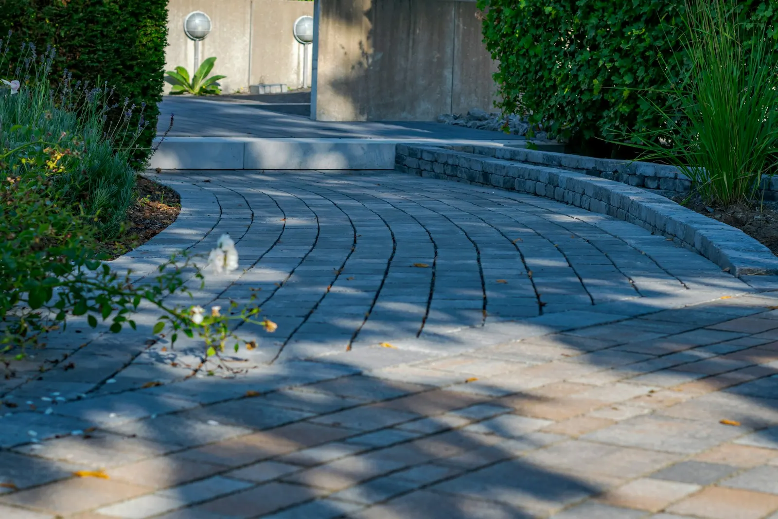 Curved paved walkway running between planted beds